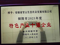特色產(chǎn)業(yè)十強企業(yè)